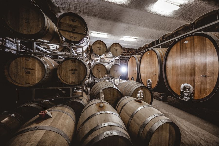 Weingut Faubel Weinkeller voller großer Fässer