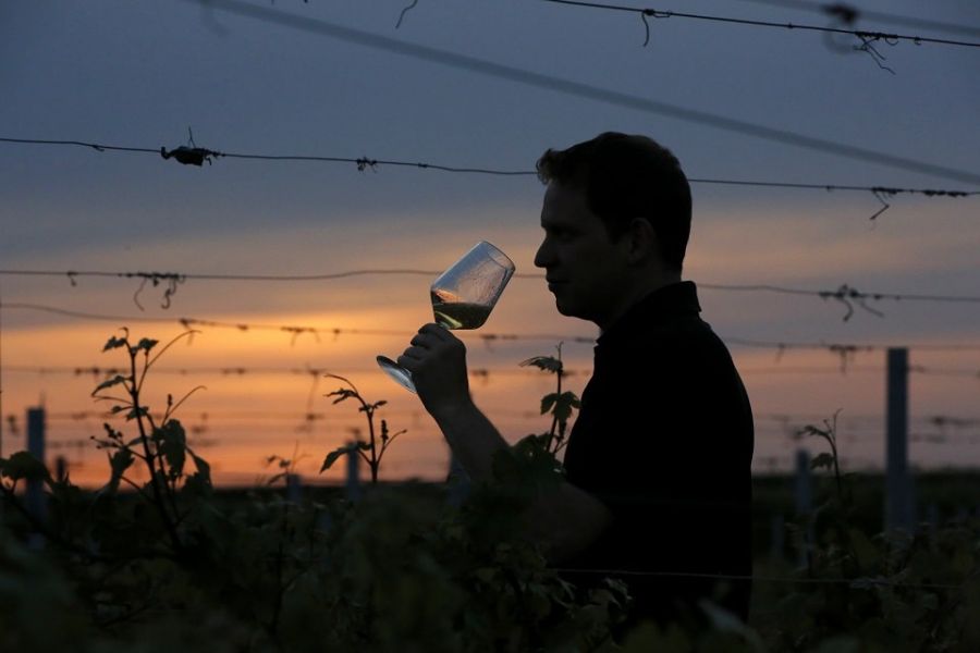 Weingut Langenwalter Winzer Siluette vor Weinreben im Sonnenuntergang